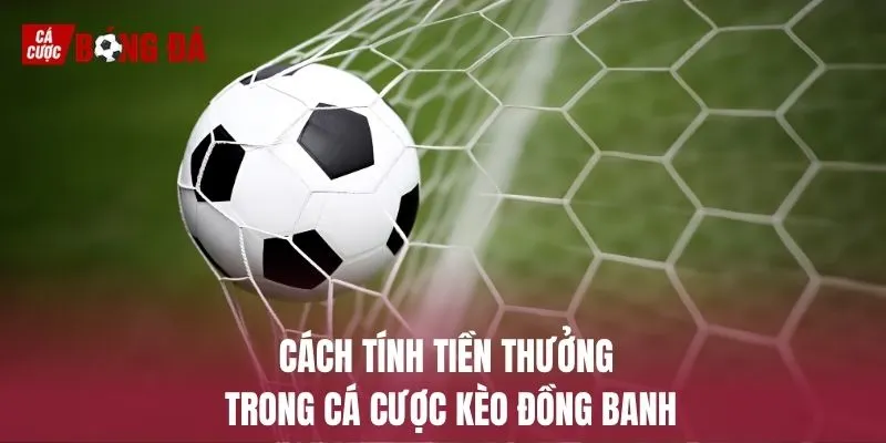 Cách tính tiền thưởng trong cá cược kèo đồng banh Cách tính tiền thưởng trong cá cược kèo đồng banh